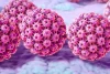 Studi: Ekstrak Jamur Membantu Sistem Kekebalan dalam Membersihkan Infeksi HPV