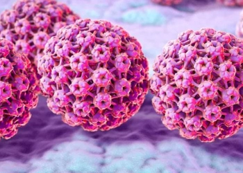 Studi: Ekstrak Jamur Membantu Sistem Kekebalan dalam Membersihkan Infeksi HPV