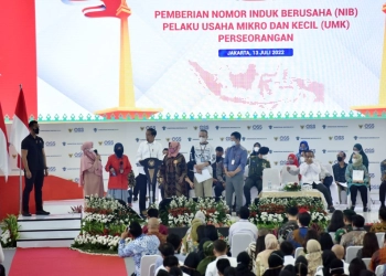 Presiden Dorong Pelaku Usaha UMKM Manfaatkan Platform Digital