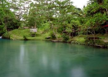 Indahnya Kali Biru Genyem, Surga Tersembunyi di Papua yang Menarik untuk Dikunjungi