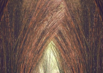 Hutan Bambu Surabaya Gak Kalah Sama Arashiyama Jepang