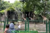 Empat Cara Seru Liburan ke Kebun Binatang