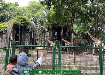 Empat Cara Seru Liburan ke Kebun Binatang