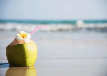 Manfaat Air Kelapa Bagi Ibu Hamil 