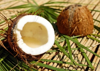Mengkonsumsi Kelapa Bermanfaat untuk Kesehatan Tiroid