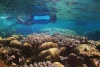 Wisata Kepulauan Riau Yang Memesona