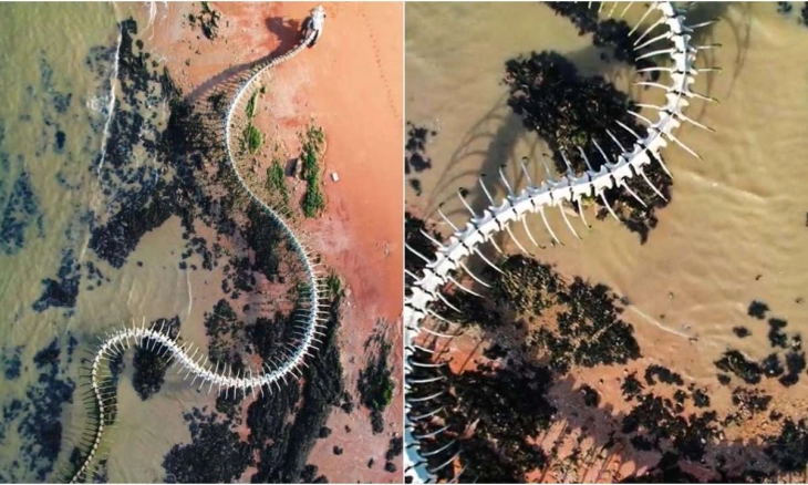 Kebenaran di Balik 'Kerangka Ular' Raksasa yang Ditemukan di Google Maps