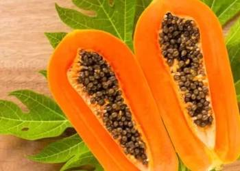 Inilah 5 Khasiat Buah Papaya, Salah Satunya bisa Bikin Penglihatan Jernih