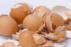 Sering Dibuang, Ini Dia Manfaat Kulit Telur untuk Kesehatan