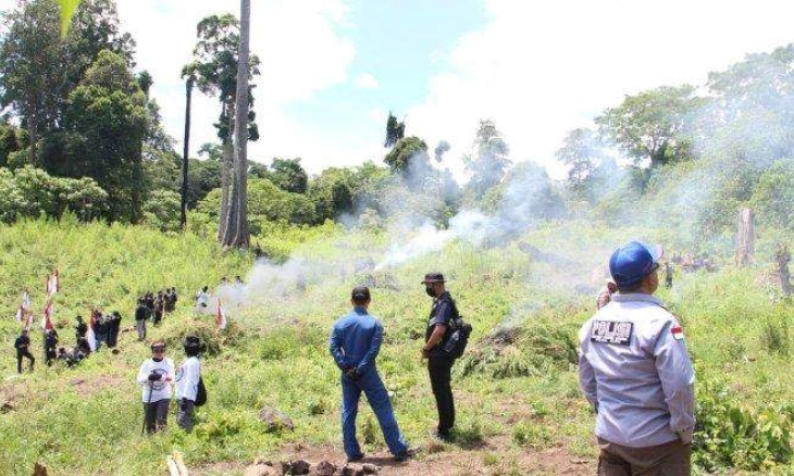Polri Temukan Lalu Bakar Ladang Ganja Seluas 25 Hektar