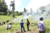Polri Temukan Lalu Bakar Ladang Ganja Seluas 25 Hektar