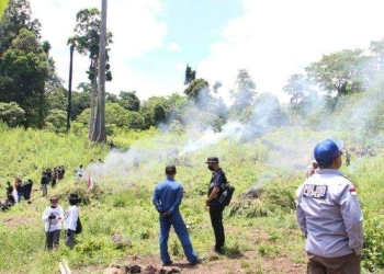 Polri Temukan Lalu Bakar Ladang Ganja Seluas 25 Hektar