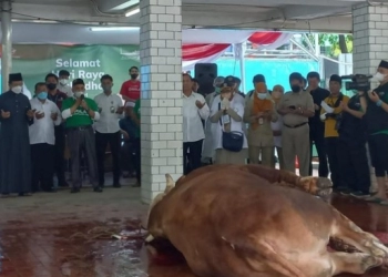 Hewan Kurban Presiden dan Wapres Disembelih Hari Ini
