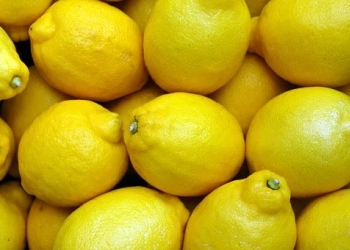 Lemon Untuk Atasi Rambut Rontok