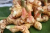Atasi Rambut Tipis dengan Lengkuas