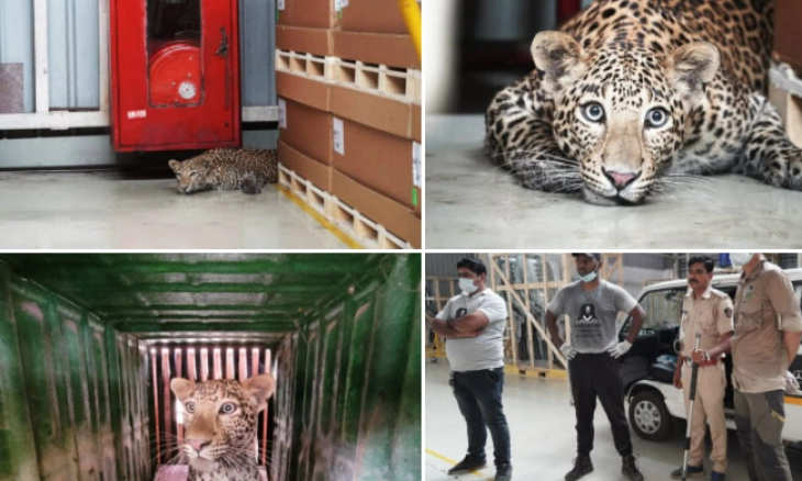 KKP Tangkap Dua Kapal Ikan Asing Berbendera Malaysia, Selamatkan Potensi Kerugian Rp19,9 Miliar