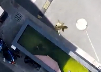 Memancing dengan Drone saat Penguncian Covid-19 di Shanghai Viral