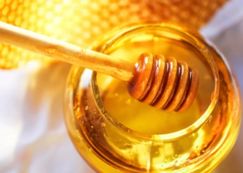 Obat Alami Mengatasi Sariawan Anak 