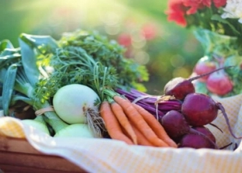 6 Jenis Sayur dan Buah yang Dapat Turunkan Kadar Asam Urat