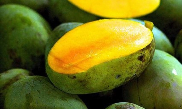Inilah Cara Menikmati Mangga tanpa Khawatir Gemuk