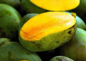 Inilah Cara Menikmati Mangga tanpa Khawatir Gemuk