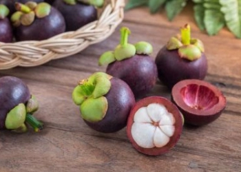 Inilah Beragam Manfaat Buah Manggis untuk Kesehatan Tubuh