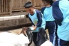 Serunya D’Kandang Amazing Farm untuk anak