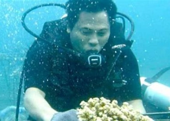 5 Cara Mengatasi Kuping Sakit Karena Menyelam