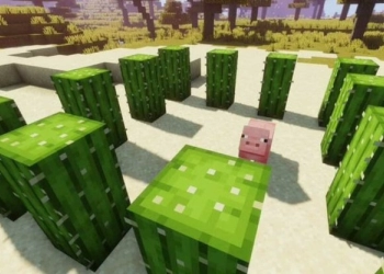 4 Cara Terbaik Menggunakan Kaktus di Minecraft