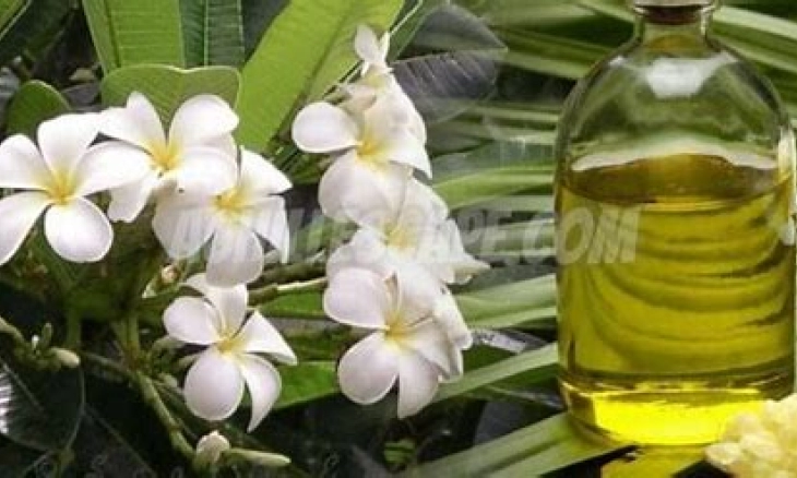 KKP Tangkap Dua Kapal Ikan Asing Berbendera Malaysia, Selamatkan Potensi Kerugian Rp19,9 Miliar