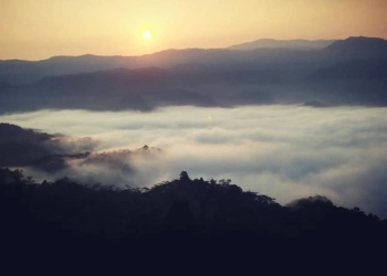Nikmati Keindahan Negeri di Atas Awan Citorek