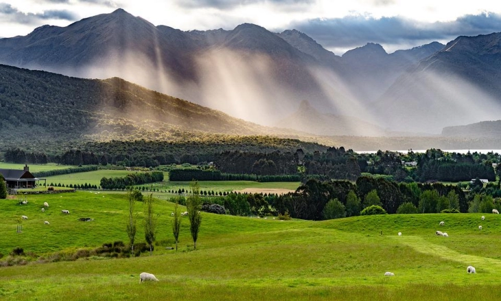 Traveling Hemat ke New Zealand