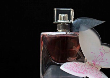 Cuma Semprot di Enam Titik Ini Parfum Tahan Seharian