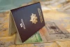 Alasan Utama Visa Ke Luar Negeri Di Tolak