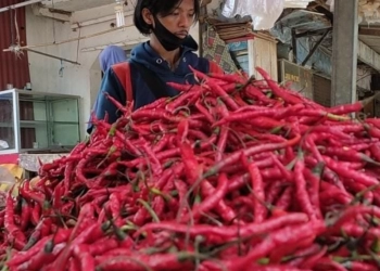 Semakin Pedas! Harga Cabai di Pasar Pandeglang Tembus Rp 80.000/kg