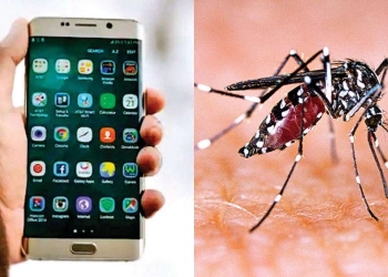 Teknologi Smartphone Baru Membantu Mendeteksi Demam Berdarah
