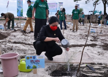 Pihak yang Manfaatkan SDA Harus Bertanggungjawab Memulihkan