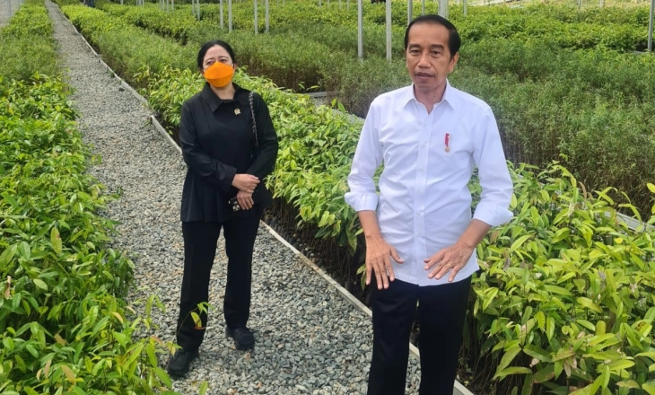 KKP Tangkap Dua Kapal Ikan Asing Berbendera Malaysia, Selamatkan Potensi Kerugian Rp19,9 Miliar