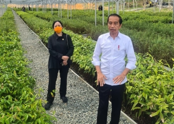 Puan Dampingi Jokowi Selama di IKN, Pertanda Apa?