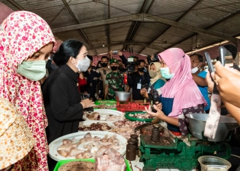 Cek Harga Bahan Pokok, Puan Blusukan ke Pasar Jungke