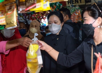 Pemerintah Diminta Pantau HET Minyak Goreng Secara Ketat