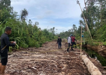 Illegal Logging di Perbatasan Jambi-Palembang