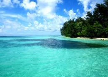 Asyiknya Berkemah di Pulau Semak daun
