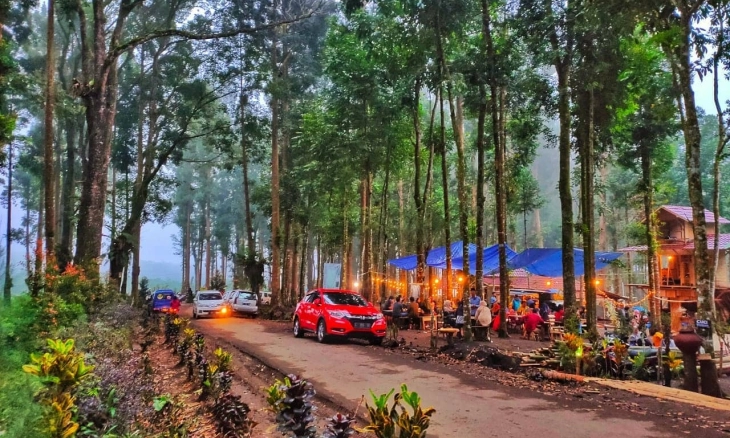 Wisata Siti Sundari Lumajang, Tempat Makan Romantis di Tengah Hutan