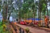 Wisata Siti Sundari Lumajang, Tempat Makan Romantis di Tengah Hutan
