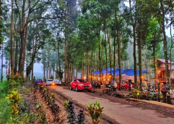 Wisata Siti Sundari Lumajang, Tempat Makan Romantis di Tengah Hutan