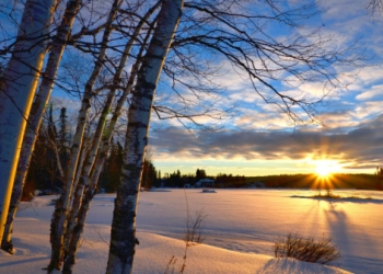 Winter Soltice Menjadi Hari Terpendek Tahun Ini, Ketahui Sejarahnya
