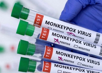 Cegah Pelanggaran, WHO Sebut Monkeypox sebagai Clades I, IIa dan IIb
