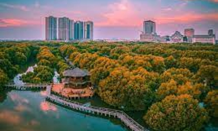 Sejuknya Hutan Mangrove Jakarta