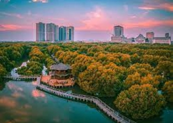 Sejuknya Hutan Mangrove Jakarta